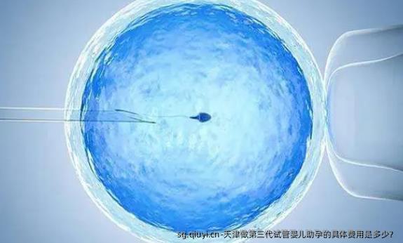 天津做第三代试管婴儿助孕的具体费用是多少？