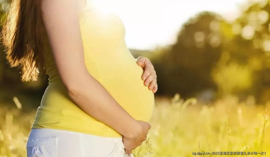 2025亚美尼亚试管婴儿多少钱一次？