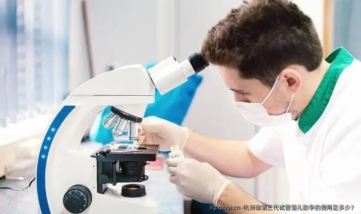 杭州做第三代试管婴儿助孕的费用是多少？