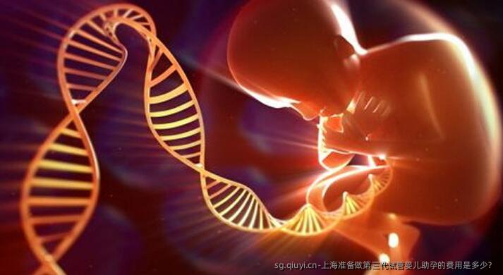 上海准备做第三代试管婴儿助孕的费用是多少？