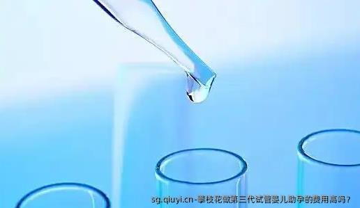 攀枝花做第三代试管婴儿助孕的费用高吗？