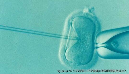 江苏做第三代试管婴儿助孕的费用是多少？