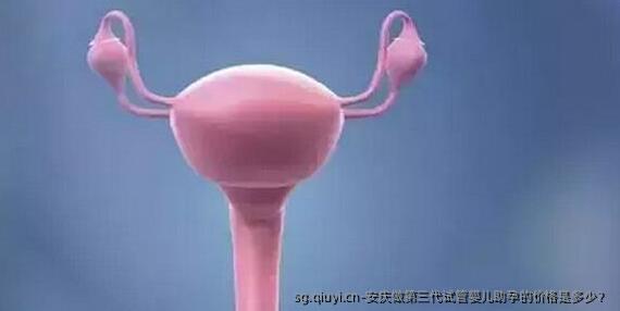 安庆做第三代试管婴儿助孕的价格是多少？