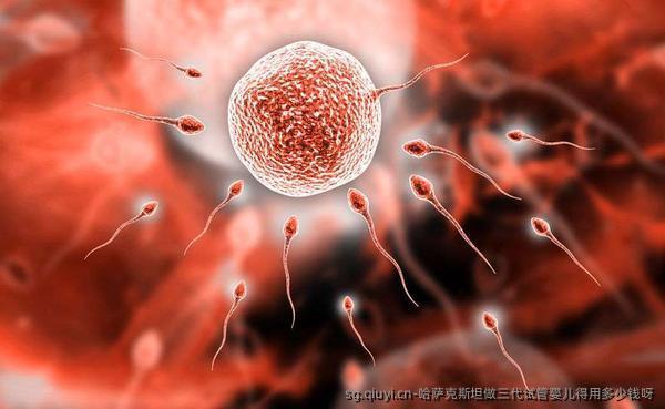 哈萨克斯坦做三代试管婴儿得用多少钱呀