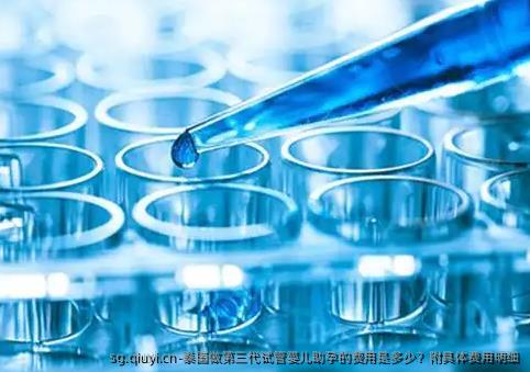 泰国做第三代试管婴儿助孕的费用是多少？附具体费用明细