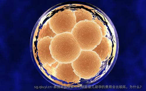 泰国准备做第三代试管婴儿助孕的费用会比较高。为什么？