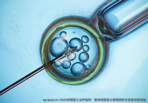 2025试管婴儿治疗指南：昆明试管婴儿费用解析及试管收费明细