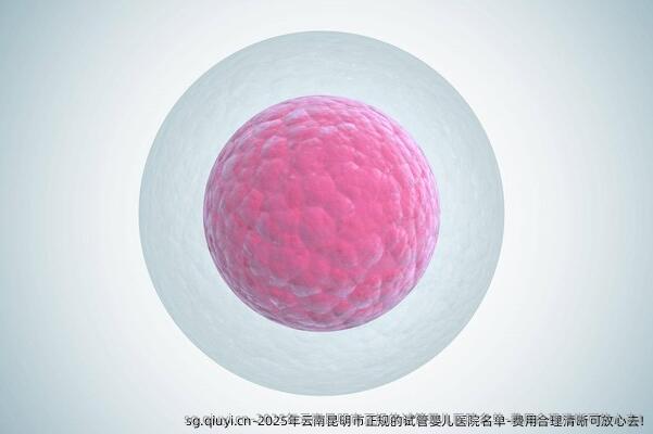 2025年云南昆明市正规的试管婴儿医院名单-费用合理清晰可放心去!