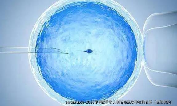 2025昆明试管婴儿医院高成功率机构名单〔正规医院〕
