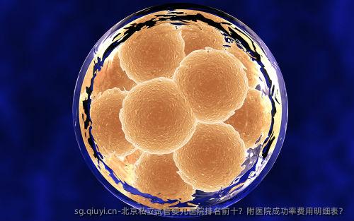 北京私立试管婴儿医院排名前十？附医院成功率费用明细表？