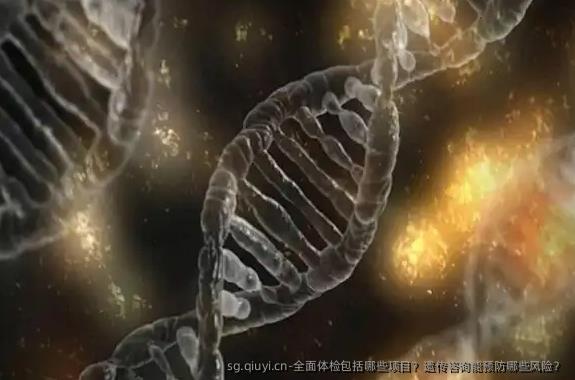全面体检包括哪些项目？遗传咨询能预防哪些风险？