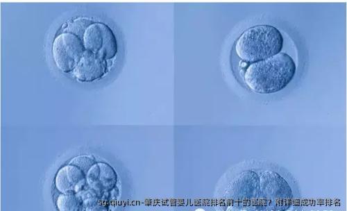 肇庆试管婴儿医院排名前十的医院？附详细成功率排名