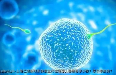 上海仁济医院单身做三代试管婴儿费用要多少钱？成功率高吗？