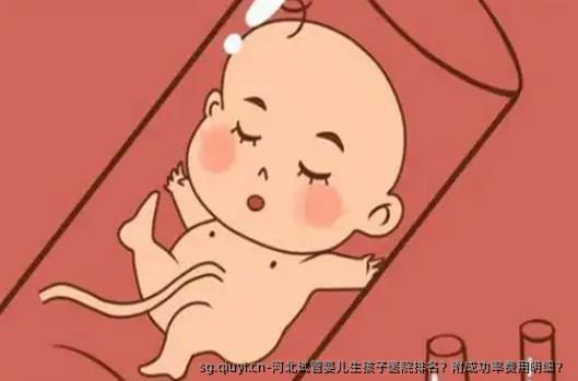 河北试管婴儿生孩子医院排名？附成功率费用明细？