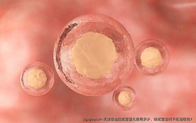 天津总医院试管婴儿费用多少，做试管如何不花冤枉钱？