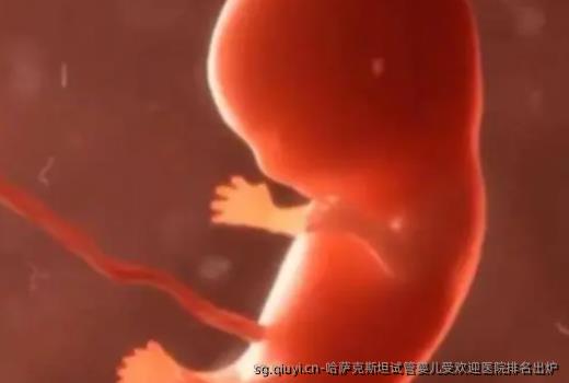 哈萨克斯坦试管婴儿受欢迎医院排名出炉