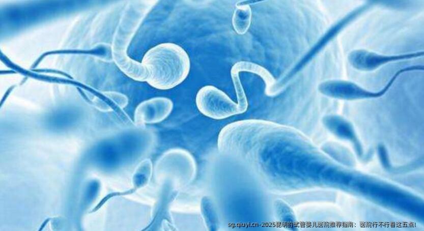 2025昆明的试管婴儿医院推荐指南：医院行不行看这五点！