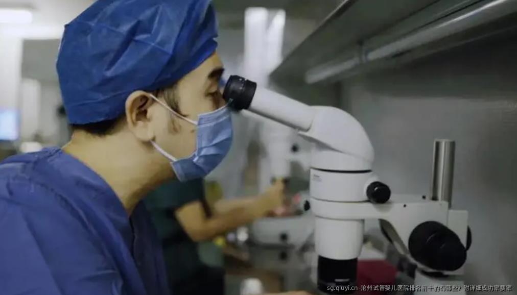 沧州试管婴儿医院排名前十的有哪些？附详细成功率费率