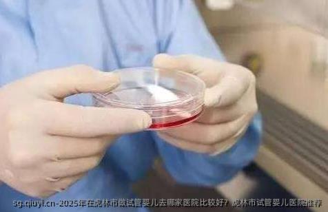2025年在虎林市做试管婴儿去哪家医院比较好？虎林市试管婴儿医院推荐