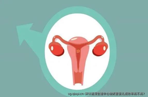 深圳诺芽生殖中心做试管婴儿成功率高不高？