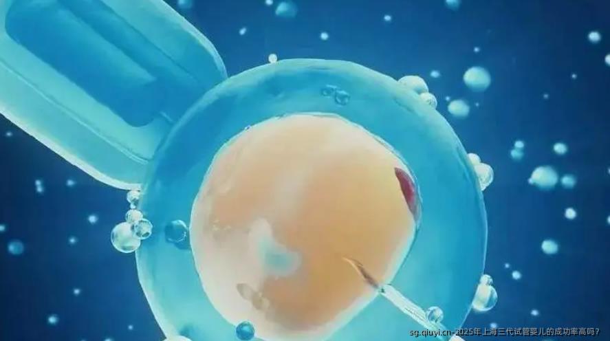 2025年上海三代试管婴儿的成功率高吗？