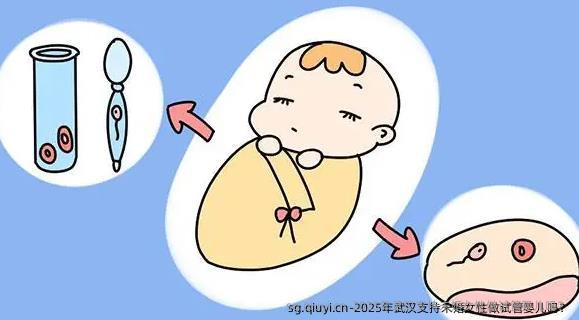 2025年武汉支持未婚女性做试管婴儿吗？