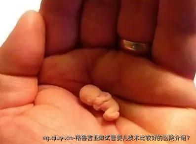 格鲁吉亚做试管婴儿技术比较好的医院介绍？