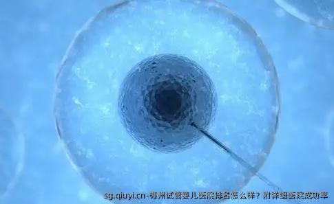 梅州试管婴儿医院排名怎么样？附详细医院成功率