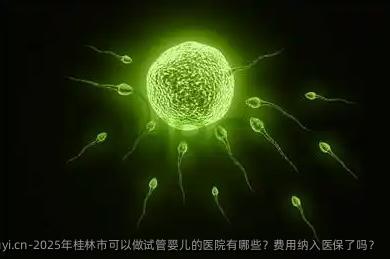 2025年桂林市可以做试管婴儿的医院有哪些？费用纳入医保了吗？
