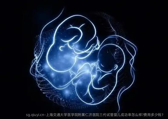 上海交通大学医学院附属仁济医院三代试管婴儿成功率怎么样?费用多少钱？