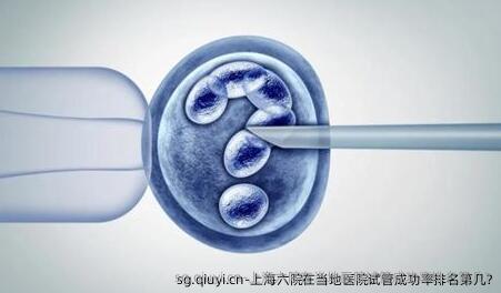 上海六院在当地医院试管成功率排名第几?