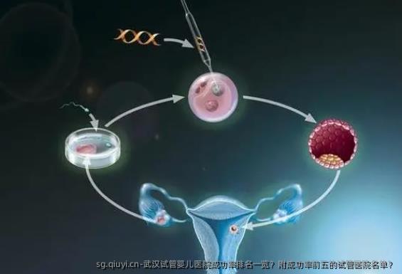 武汉试管婴儿医院成功率排名一览？附成功率前五的试管医院名单？