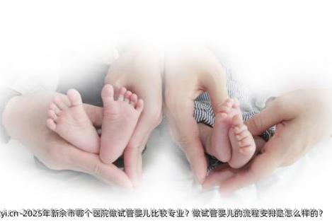 2025年新余市哪个医院做试管婴儿比较专业？做试管婴儿的流程安排是怎么样的？