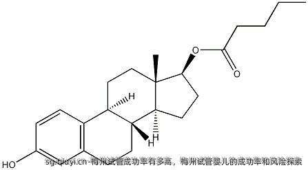 梅州试管成功率有多高，梅州试管婴儿的成功率和风险探索
