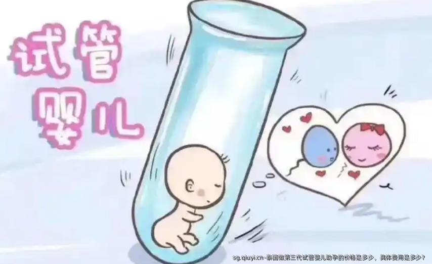 泰国做第三代试管婴儿助孕的价格是多少，具体费用是多少？