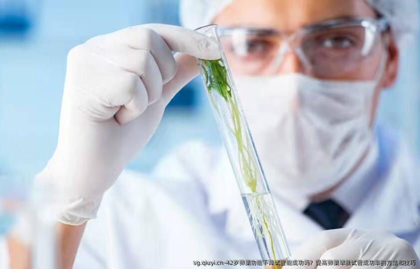 42岁卵巢功能下降试管能成功吗？提高卵巢早衰试管成功率的方法和技巧