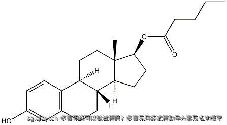 多囊闭经可以做试管吗？多囊无月经试管助孕方案及成功概率