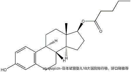 日本试管婴儿10大医院排行榜，好口碑推荐