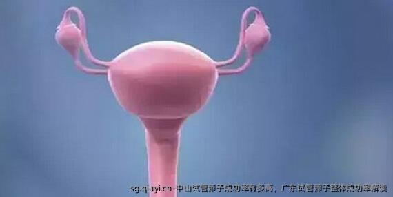 中山试管卵子成功率有多高，广东试管卵子整体成功率解读