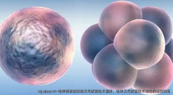 桂林哪家医院做三代试管技术较好，桂林三代试管技术优秀的医院排名