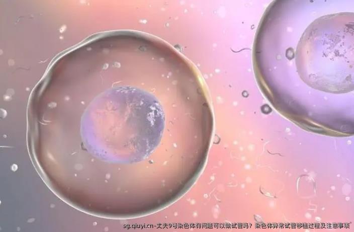 丈夫9号染色体有问题可以做试管吗？染色体异常试管移植过程及注意事项