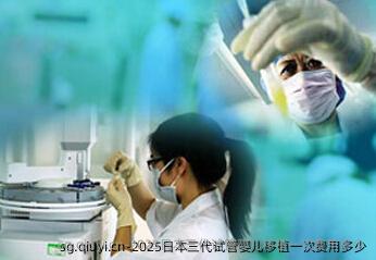 2025日本三代试管婴儿移植一次费用多少