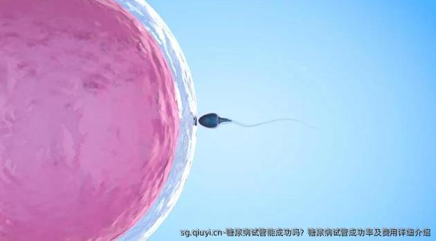 糖尿病试管能成功吗？糖尿病试管成功率及费用详细介绍