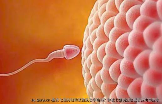 重庆七星岗妇幼试管成功率高吗？解读七星岗妇幼试管成功率成本