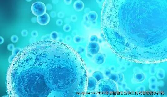 2025年去格鲁吉亚做三代试管需要多少钱