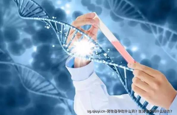 男性备孕吃什么药？生孩子有什么秘方？ 