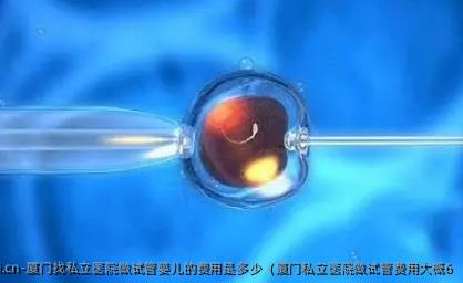 厦门找私立医院做试管婴儿的费用是多少（厦门私立医院做试管费用大概6