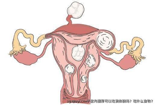 子宫内膜厚可以吃黄体酮吗？吃什么食物？ 