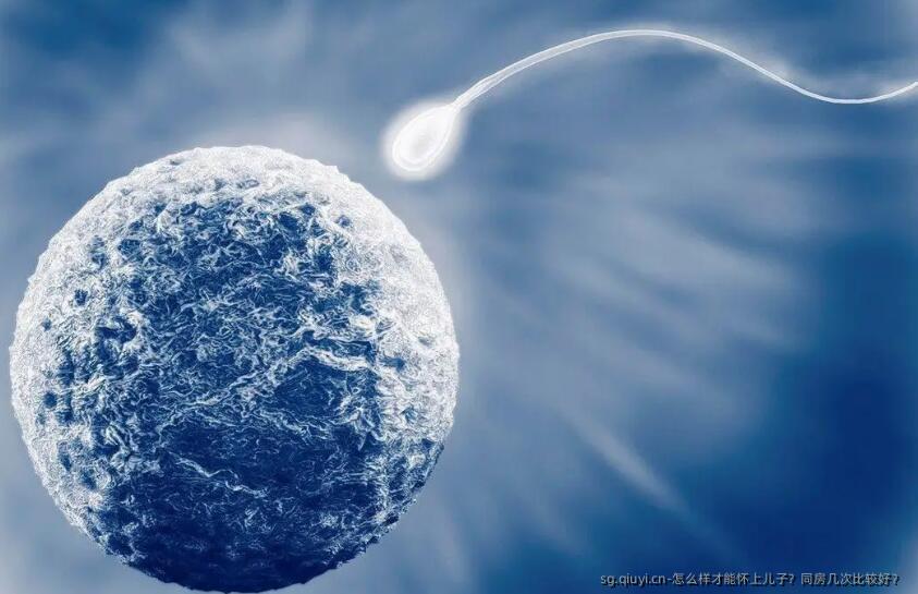 怎么样才能怀上孩子？同房几次比较好？ 
