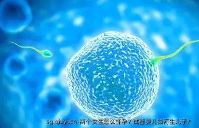 两个女生怎么怀孕？试管婴儿如何生孩子？ 